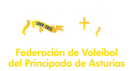 Federación Asturiana de Voleibol